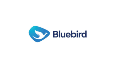Loker Pengemudi Taxi Online dan Bandara - Driver Online di BlueBird Pool Ciputat 2